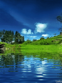 Hai Bóng Lang Thang – Nhất Lang Nguyễn Thành Sáng, hình ảnh hai tâm hồn cùng lang thang giữa cuộc đời, mỗi người mang một nỗi niềm riêng, lặng lẽ hướng về nhau qua những khoảng cách và ký ức chơi vơi.