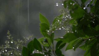 Cảnh Ngộ Trái Ngang – Nhất Lang Nguyễn Thành Sáng, hình ảnh một người gặp biến cố giữa biển khơi, mất ký ức rồi sống nơi xa lạ, đến khi hồi phục lại đối diện nỗi đau ngang trái của hai mối duyên vợ chồng.